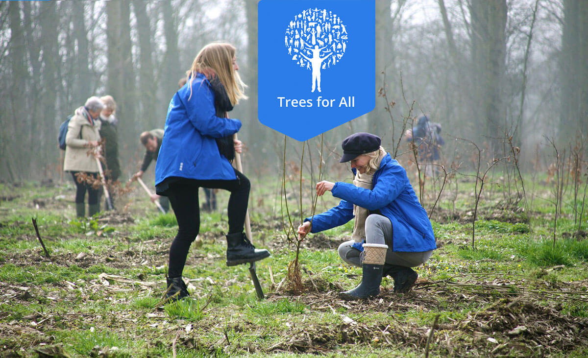 Trees for All Boekema Groningen Visie op vastgoedonderhoud